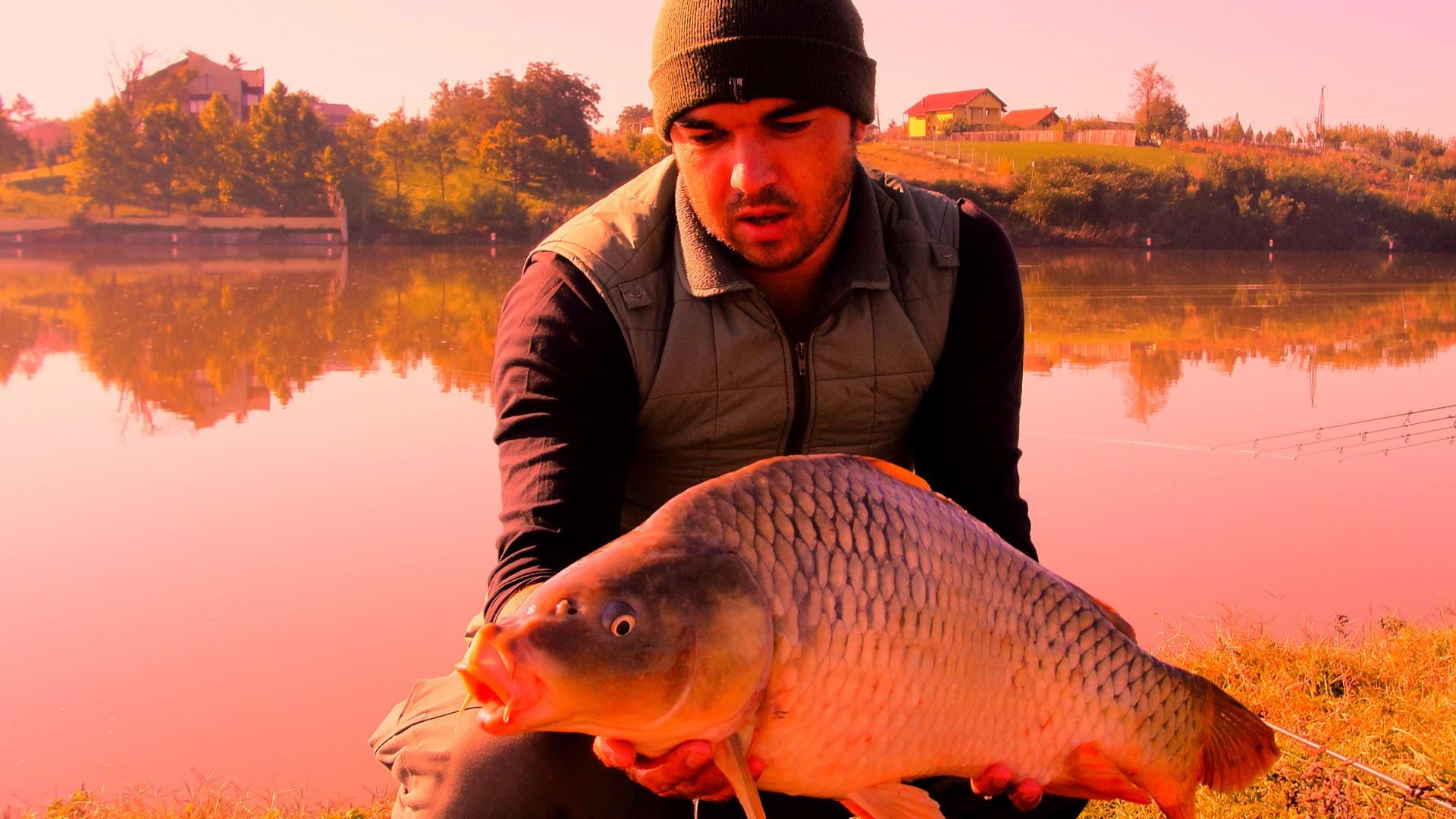 Moara Vlasiei 2 6 - 6 oct. - dsc02720.JPG